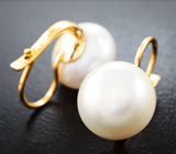 Золотые серьги с крупным морским жемчугом кремово-розового люстра 22,23 карата Золото