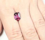 Чистейший крупный умбалит гранат 4,15 карата 