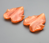 Пара резного карнелиана 3,87 карата 