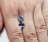 Пара танзанитов 3,89 карата 