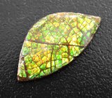 Кулон с аммолитом аммонита 3,52 карата