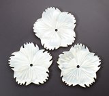 Набор резного перламутра 20,04 карата 