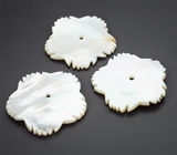 Набор резного перламутра 20,04 карата