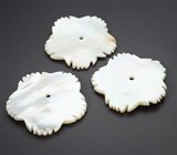 Набор резного перламутра 20,04 карата 