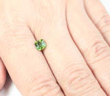 Open color grade! Полихромный турмалин 0,93 карата 