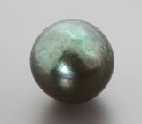 Темно-зеленая морская жемчужина барокко 10,68 карата! Титановый люстр