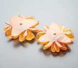 Пара резного карнелиана с белым кварцем 18,77 карата