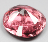 Рубеллит 3,8 карата 