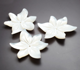 Набор резного перламутра 21,02 карата