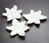 Набор резного перламутра 21,02 карата 