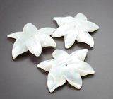 Набор резного перламутра 21,02 карата 