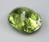 Крупный перидот с включением рутила 9,22 карата