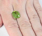 Крупный перидот с включением рутила 9,22 карата 