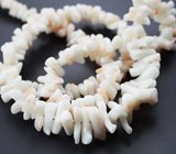 Натуральные solid кораллы на струне 80,34 карата