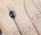 Чистейший розовый циркон 3,57 карата 