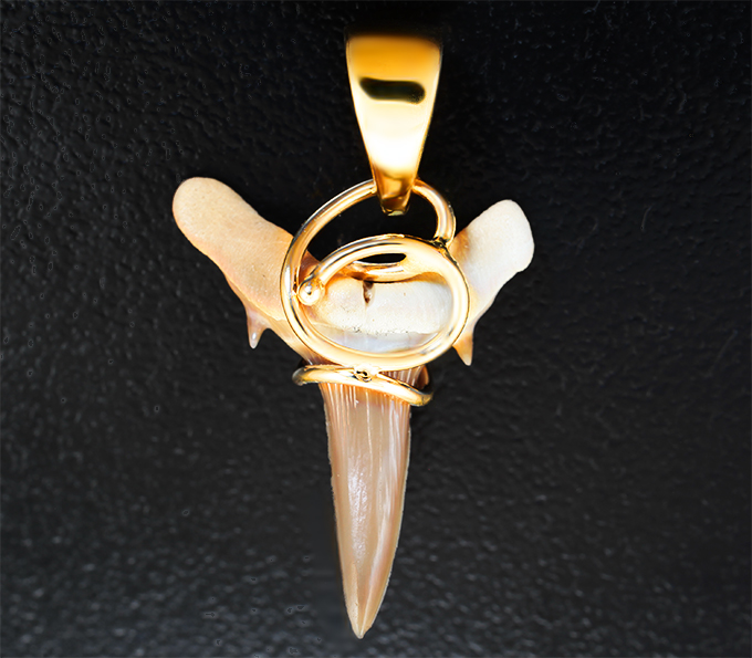 Золотой кулон с ископаемым зубом акулы 2,91 карата