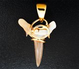 Золотой кулон с ископаемым зубом акулы 2,91 карата Золото