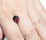 Чистейший оранжево-красный циркон 3,66 карата 