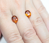 Пара цитринов мадейра 3,92 карата 