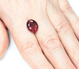 Рубеллит 5,61 карата 