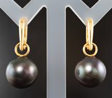 Золотые серьги с крупным черным морским жемчугом титанового люстра 32,1 карата Золото