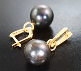 Золотые серьги с крупным черным морским жемчугом титанового люстра 32,1 карата Золото