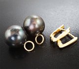 Золотые серьги с крупным черным морским жемчугом титанового люстра 32,1 карата
