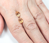 Пара гессонитов гранатов 2,95 карата 