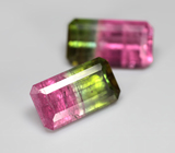 Редкая пара контрастных арбузных турмалинов 9,72 карата 