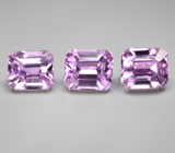 Крупный набор из 3 кунцитов высокой чистоты 20,81 карата 