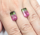 Редкая крупная пара контрастных арбузных турмалинов 12,6 карата 