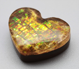 Аммолит аммонита 7,93 карата 