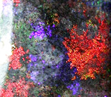 Красивейший опал 5,22 карата 