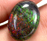 Австралийский опал 6 карат 