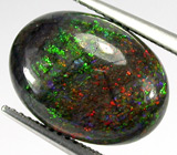 Австралийский опал 6 карат 