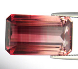 Великолепный полихромный турмалин 17,58 карат 