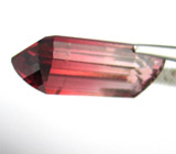 Великолепный полихромный турмалин 17,58 карат 