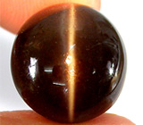 Силлиманит с эффектом кошачьего глаза 11,03 карат 