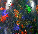 Многоцветный опал  2,11 карат 