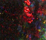 Многоцветный опал 3,55 карат 