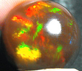 Крупный "шоколадный" опал 16,64 карат 