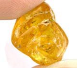 Янтарь с застывшим в нем насекомым