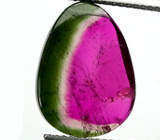 Слайс арбузного турмалина 5,3 карата 