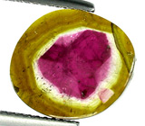 Слайс арбузного турмалина 3,37 карата 