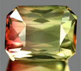 Полихромный турмалин 1,64 карат 
