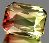 Полихромный турмалин 1,64 карат 