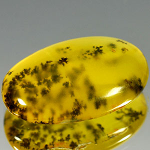 Дендритический опал 11,94 карат