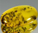 Дендритический опал 11,94 карат 