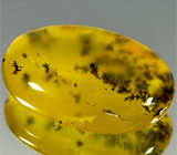 Дендритический опал 11,94 карат 