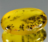 Дендритический опал 11,94 карат 